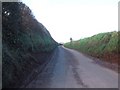 Burrow Cross; road to Hay House