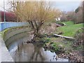 The Pool River north of Southend Lane