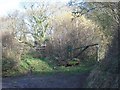 Access to Ashclyst Forest