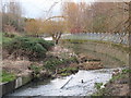 The Pool River north of Southend Lane (3)