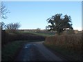 New Road, south of Higher Comberoy Farm