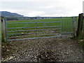 Gate, Corton Denham