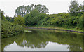 Worcester and Birmingham Canal north of  Alvechurch, Worcestershire