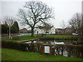 The village pond at North Duffield