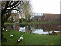 The village pond at Skipwith