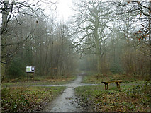 TQ3560 : Ride intersection, King's Wood by Robin Webster