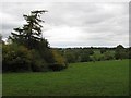 Grassland, Cold Weston