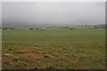 Farmland at Kingsbridgefork Cross