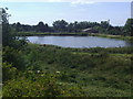 Pond at sewage treatment plant, Berrylands