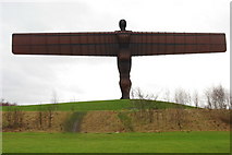 NZ2657 : Angel of the North by peter maddison