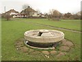 Drinking trough in Norbury Park