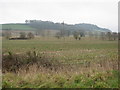 Fields by the A303