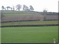 Fields by Pretwood Hill