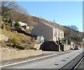 Hillside garden, Upper Road, Cwmsyfiog