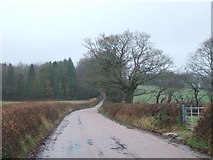 SX9297 : Burridge Road, looking west by David Smith