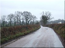 SX9297 : Burridge Road, looking east by David Smith