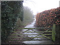 Gate on the bridleway near Little Brooksend Farm