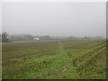 Footpath to Brooks End