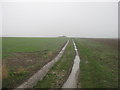 Track into the field near Acol Hill Farm