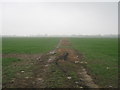 Track into fields beside Park Road.