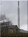 Phone mast near Dolserau Hall