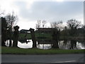 Recently pollarded trees by Idlicote pond