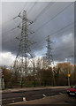 Pylons, Waltham Marsh