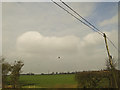 Rich green of Winter wheat beside the A1120 at Badingham