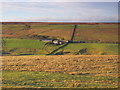 The valley of the Linn Burn around Westburnhope (2)