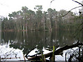 Reflections in Dead Lake