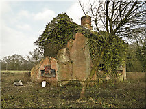 TM3667 : Derelict house at Rotten End, Sibton by Adrian S Pye