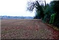 Field near Cubbington