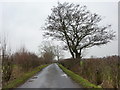 Altcar Lane