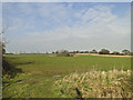 Field entrance at Vale Farm, North Green