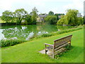 Green pond, or pond on the green