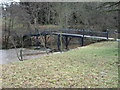 NU1615 : Hulne Park: Iron Bridge by Anthony Foster