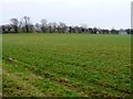 Countryside near Harbury