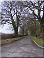 TM3966 : North Green, Kelsale by Geographer