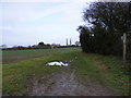 TM3867 : Footpath to the A12 Main Road by Geographer