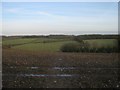 Footpath to Shawstead Road