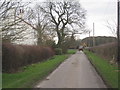 Hedge Trimming at Bleasby Moor