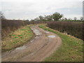 The bridleway to Croppersgorse Plantation