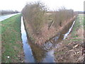 Junction of ditches alongside Staple Lane