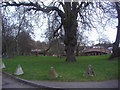 Green by the River Colne, London Colney