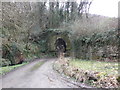 Tunnel under the former West Somerset Mineral Railway  incline at Comberrow