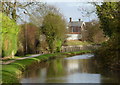 SK5581 : Canal towards Shireoaks from the west by Andrew Hill