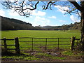 Pasture in the valley bottom