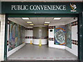 Newport: mosaic in the bus station toilets