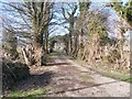 Driveway and ornamental gates at Lurganconary