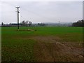 Farmland south of Halford